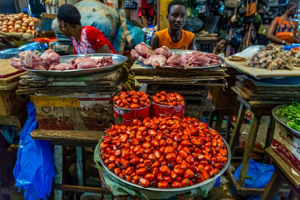 Identification and Dissemination of Technologies and Practices for the Transition to a Circular Economy in Côte d’Ivoire